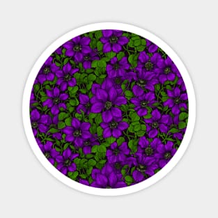 Purple Clematis vine Magnet